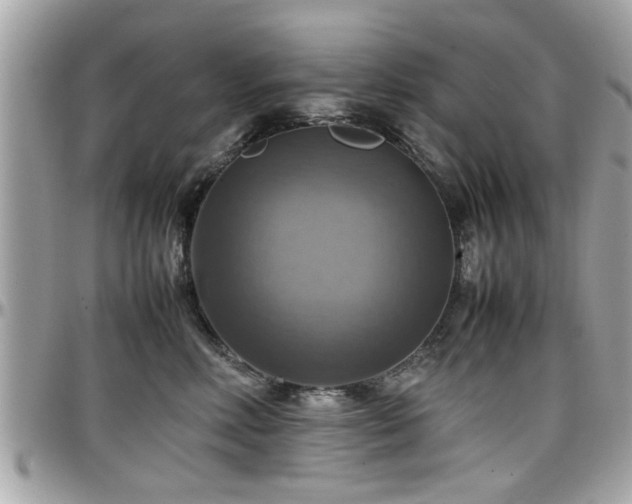 X0000098000618200803241343