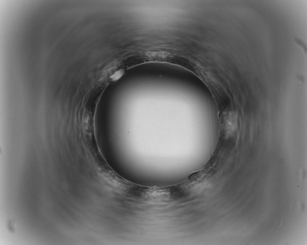 X0000098000619200803241343