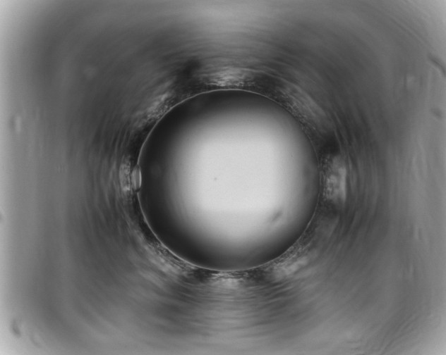 X0000098000620200803241343