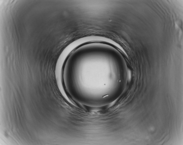 X0000098000621200803241343