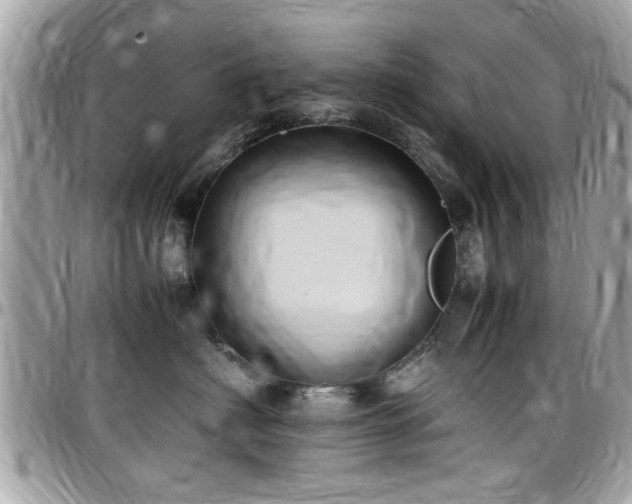 X0000098000622200803241343