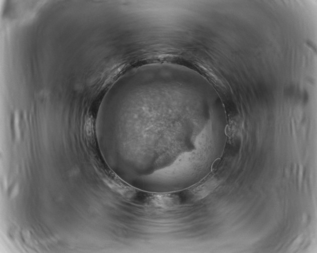 X0000098000623200803241343