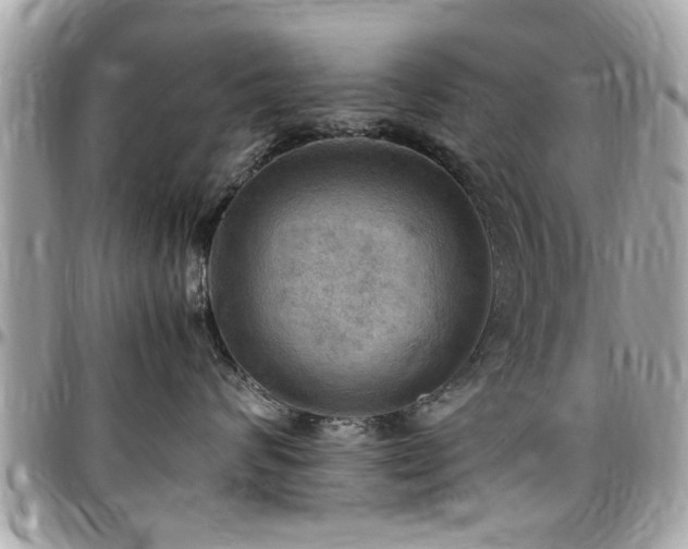 X0000098000624200803241343