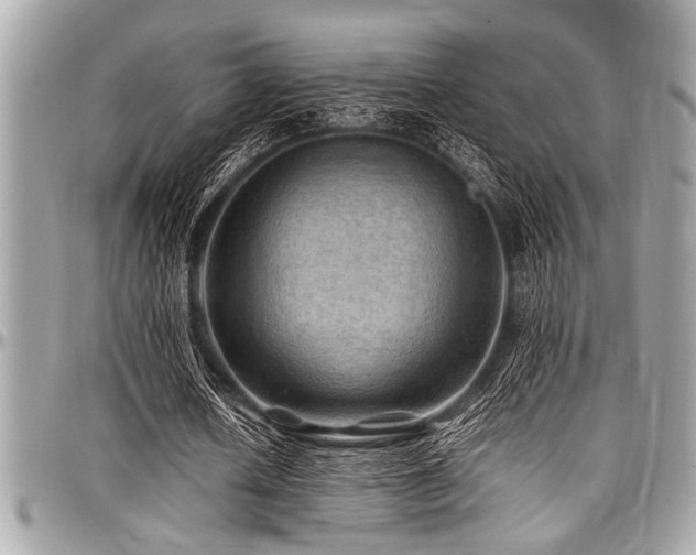 X0000098000626200803241342