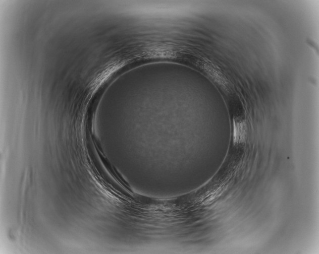 X0000098000627200803241343