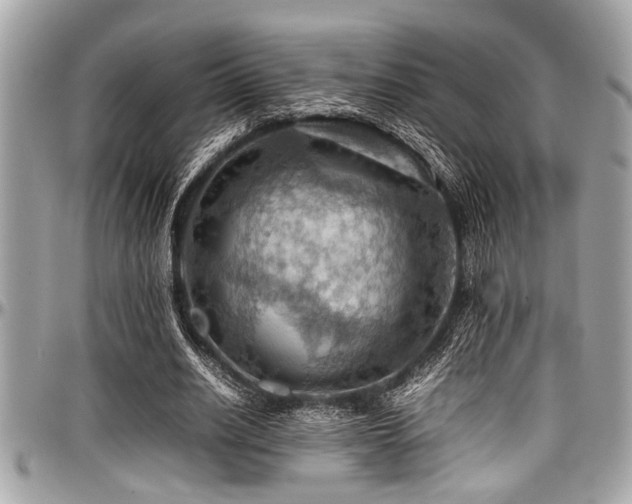 X0000098000630200803241343