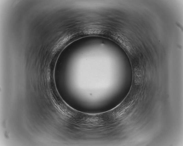 X0000098000631200803241343