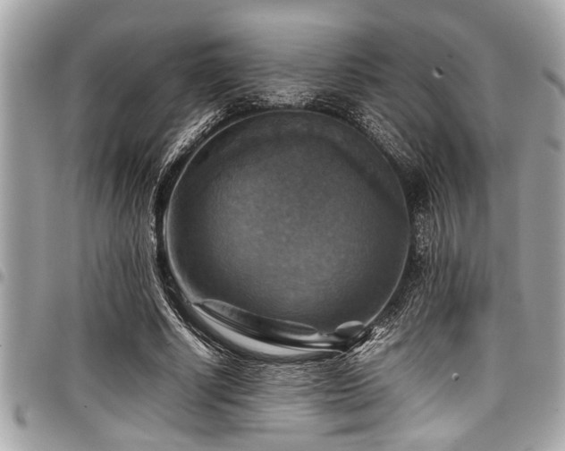 X0000098000634200803241343