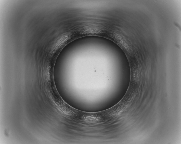 X0000098000635200803241343