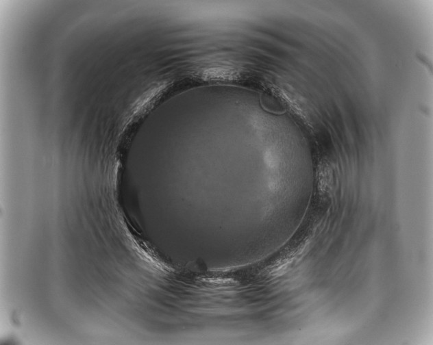 X0000098000637200803241343