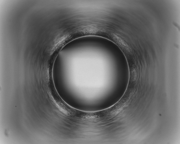 X0000098000638200803241343
