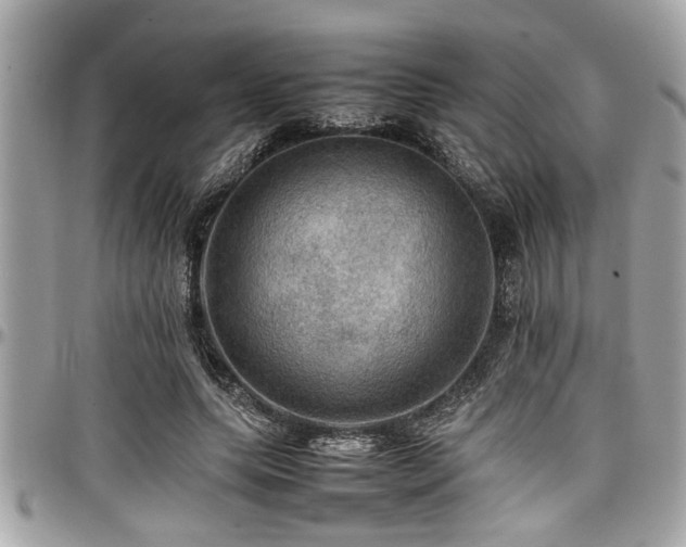 X0000098000639200803241343