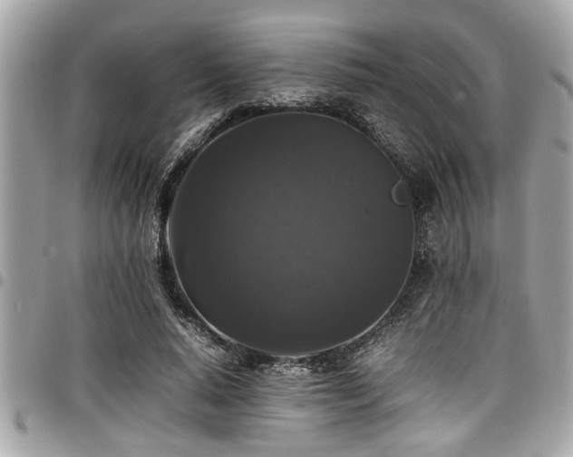 X0000098000640200803241343