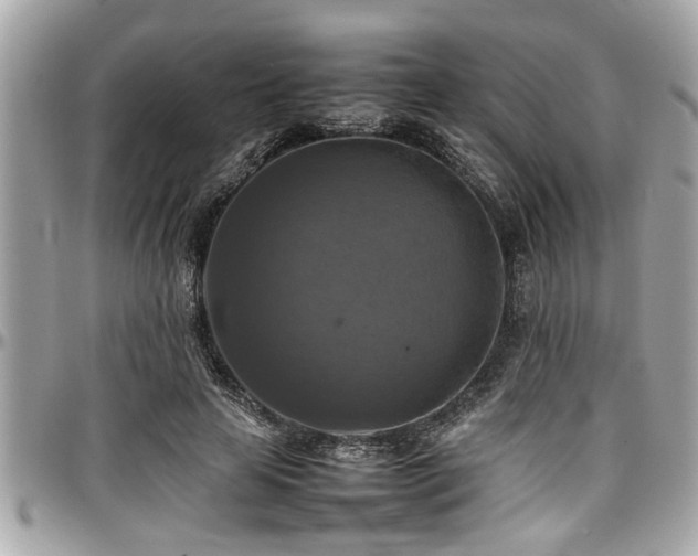 X0000098000641200803241343