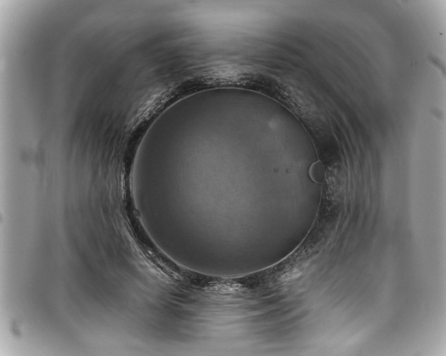X0000098000642200803241343