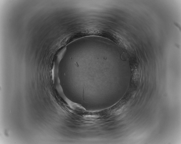 X0000098000643200803241343