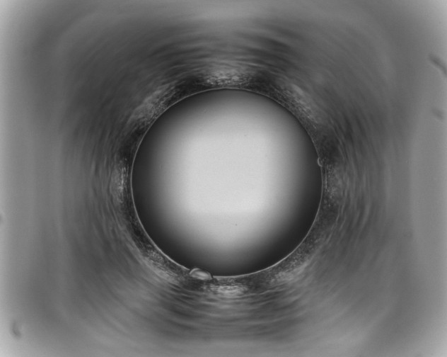 X0000098000645200803241343