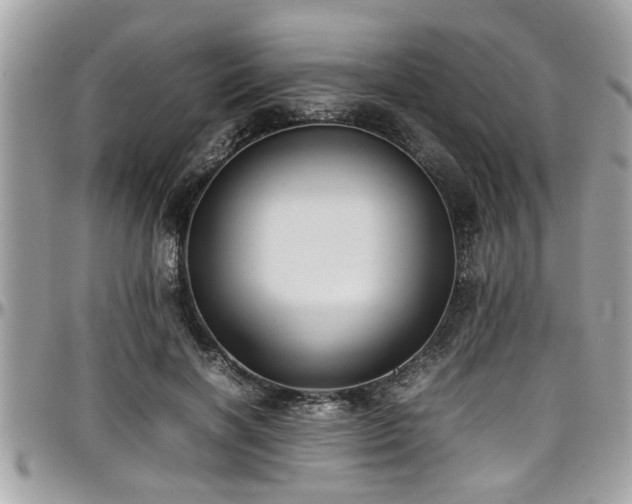 X0000098000646200803241343
