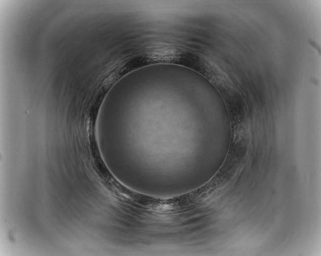 X0000098000647200803241343