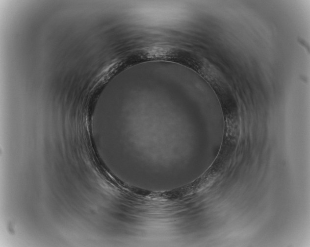 X0000098000648200803241343