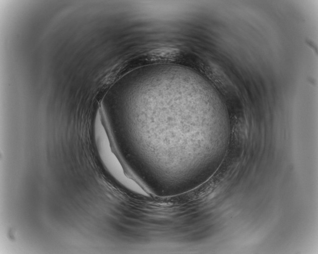 X0000098000649200803241343