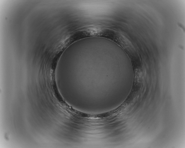 X0000098000650200803241343