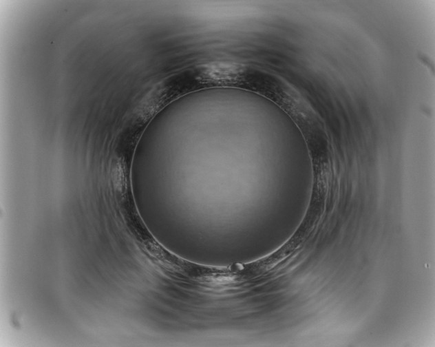 X0000098000651200803241343