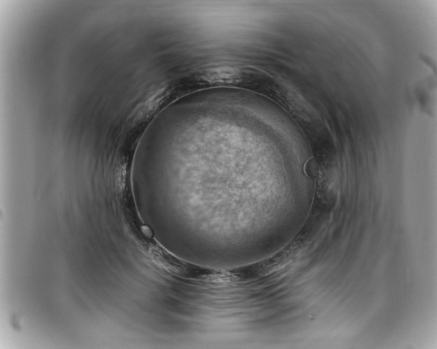 X0000098000652200803241343