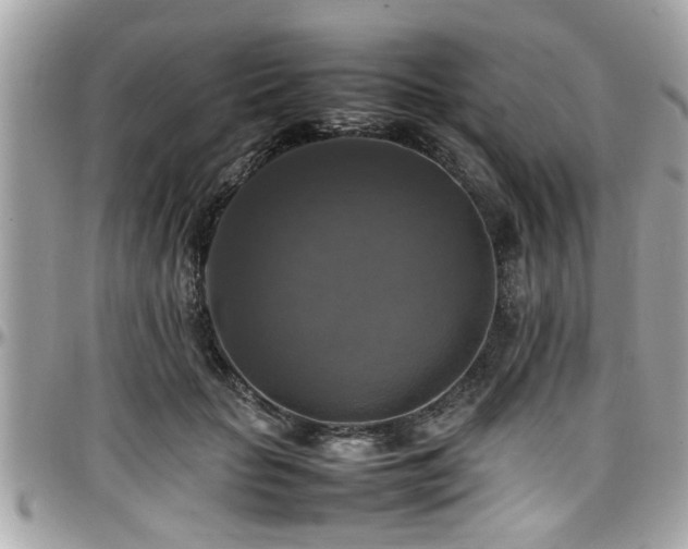 X0000098000653200803241343