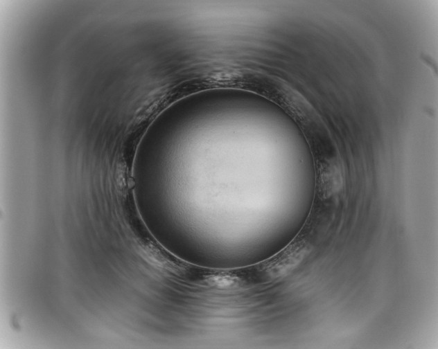 X0000098000654200803241343