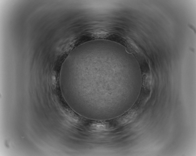 X0000098000655200803241343