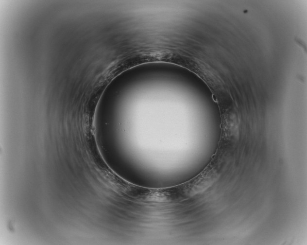 X0000098000656200803241343