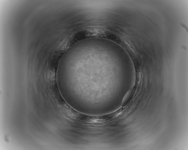 X0000098000657200803241343