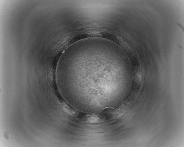 X0000098000658200803241343