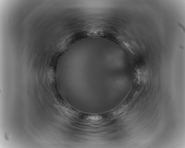 X0000098000659200803241343