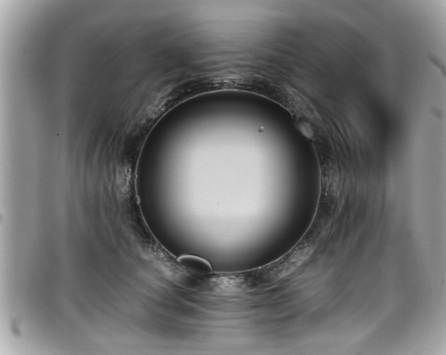 X0000098000660200803241343