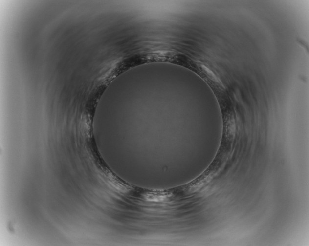 X0000098000661200803241343
