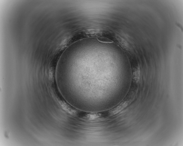 X0000098000662200803241343