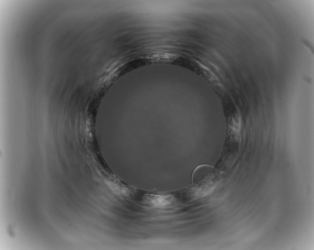X0000098000663200803241343