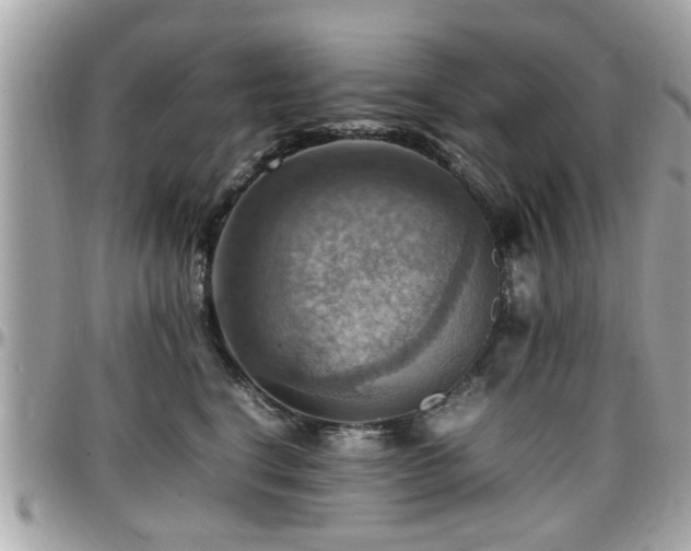 X0000098000664200803241343