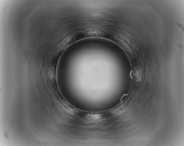X0000098000665200803241343