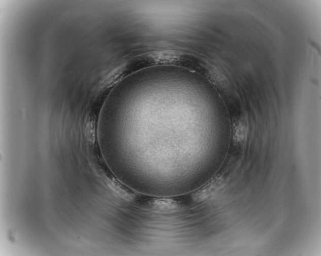 X0000098000666200803241343