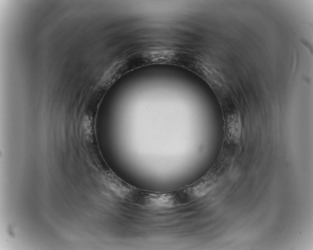 X0000098000667200803241343