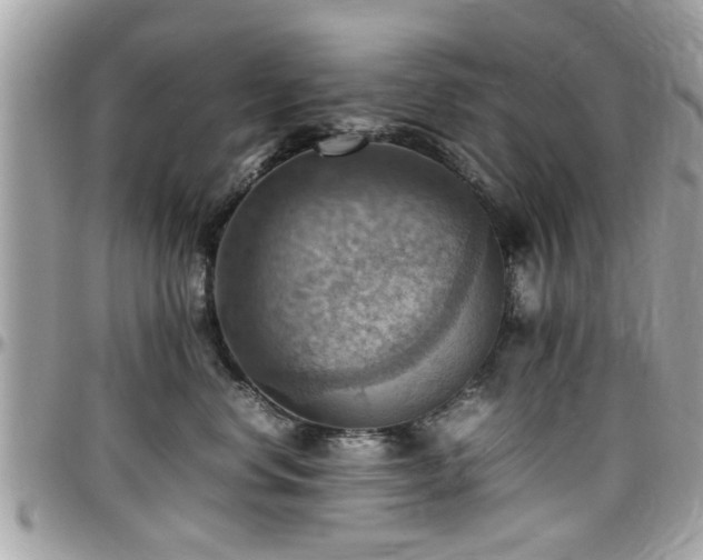 X0000098000668200803241343