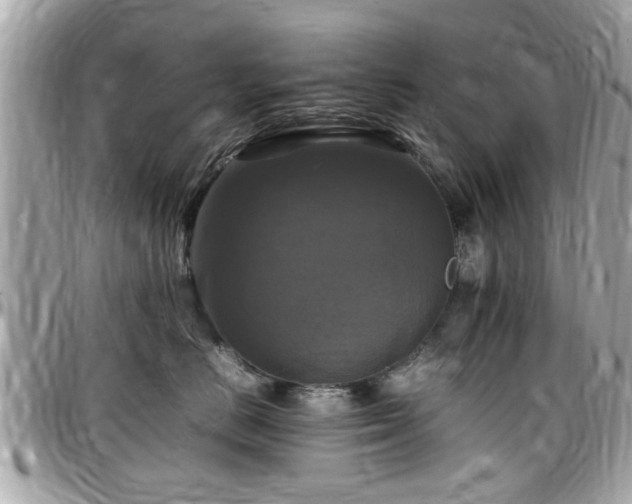 X0000098000670200803241343