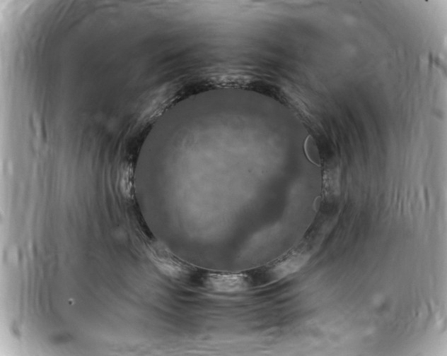 X0000098000671200803241343