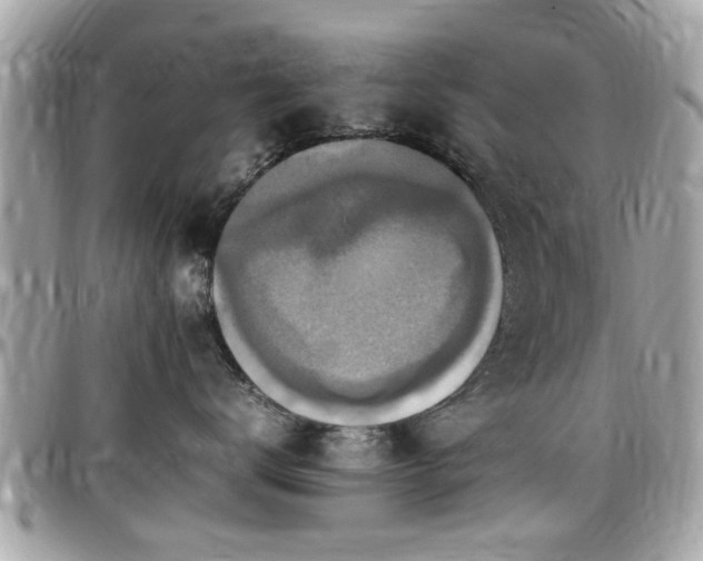 X0000098000672200803241343