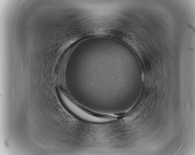X0000098000673200803241342
