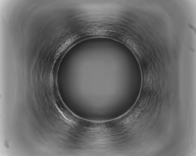 X0000098000674200803241342