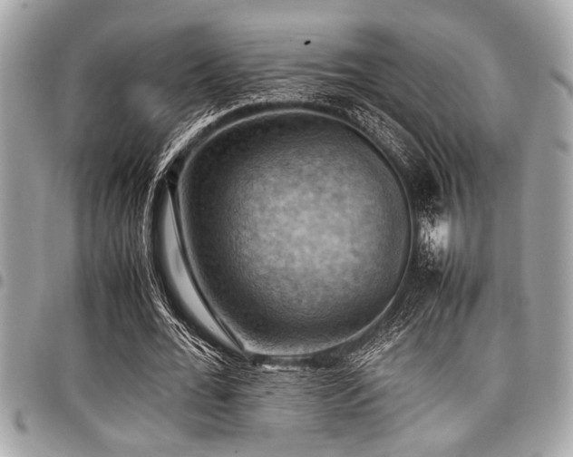 X0000098000676200803241342